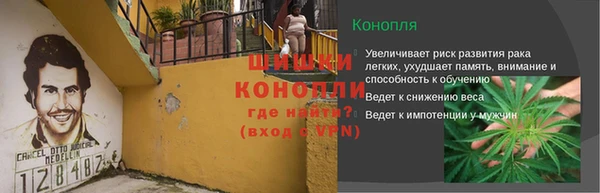 бошки Новодвинск