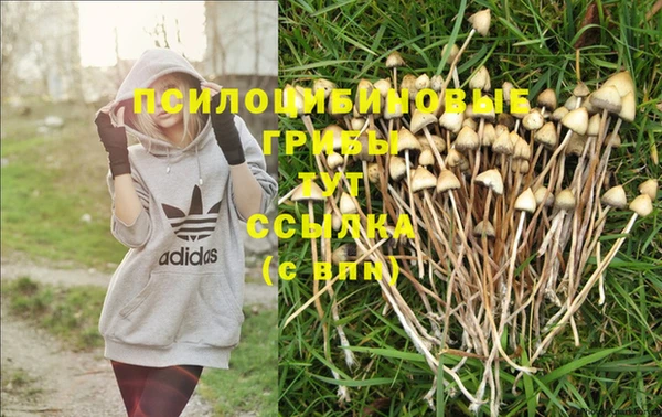 мяу мяу мука Новокубанск
