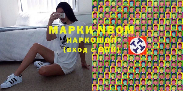 бошки Новодвинск