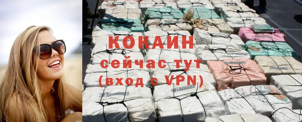 бошки Новодвинск