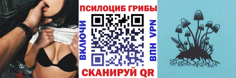 Галлюциногенные грибы MAGIC MUSHROOMS даркнет сайт Нахабино