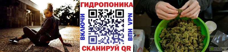 Конопля OG Kush Нахабино